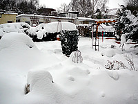 Der Winter hat/hatte uns voll im Griff !!!