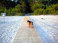 Jürmala