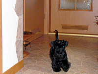 Angel im Febr. 2009