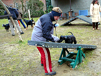 Angel auf der Wippe
